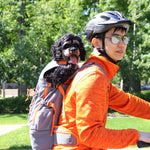 Load image into Gallery viewer, Roamer Dog Backpack - Grey

