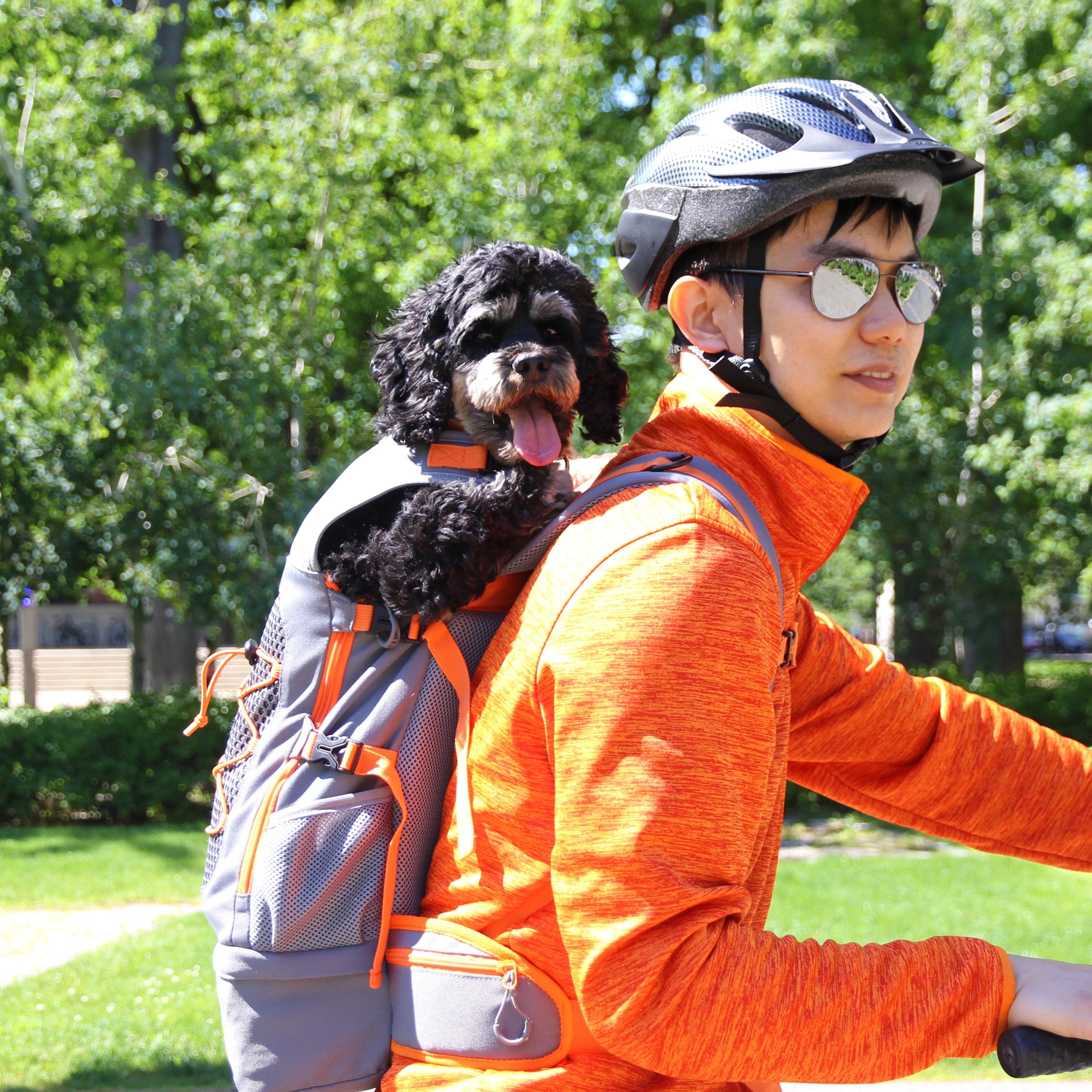 Roamer Dog Backpack - Black (Coming Soon!)